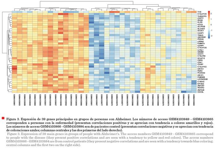 Gráfico, Gráfico de rectángulos

Descripción generada automáticamente